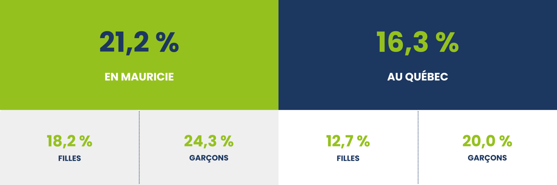 Taux de décrochage (sexes réunis, filles, garçons, Mauricie et Québec)